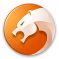 猎豹电脑浏览器 V8.0官方版