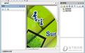 书生阅读器 v7.3绿色版