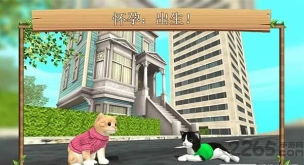 猫咪生存模拟器无限金币