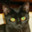 DiskImage(img写盘工具) v1.9中文破解版