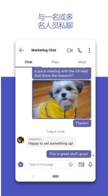 Teams视频会议软件