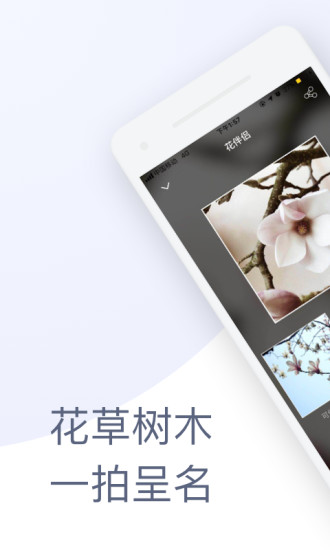 花伴侣拍照识花