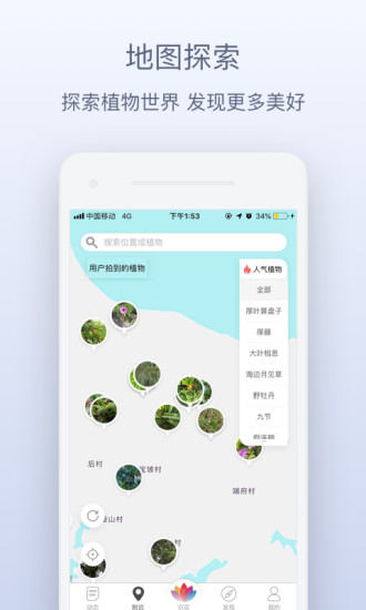 花伴侣拍照识花