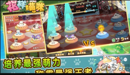 花样猫咪999999金鱼