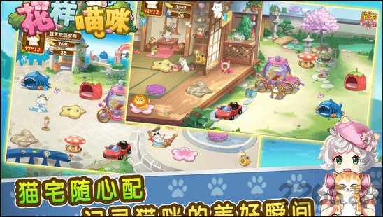 花样猫咪999999金鱼