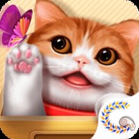 花样猫咪999999金鱼