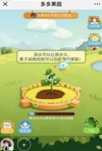 拼多多果园APP