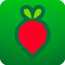 叮咚买菜app
