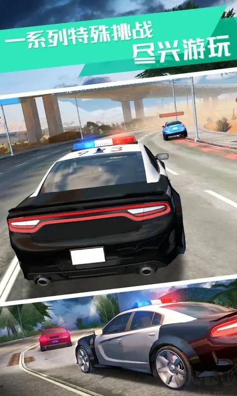 真实警察模拟器