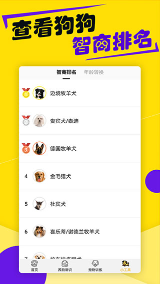 狗语翻译器中文免费版
