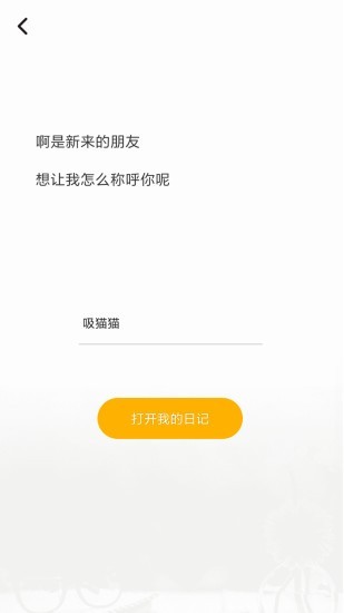 可盈日记