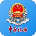 河南税务平台(社保缴费)