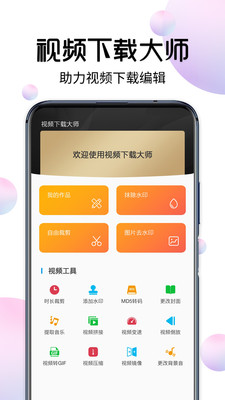 视频下载大师绿色版