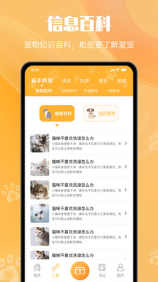 网喵APP