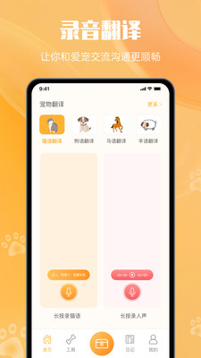 网喵APP