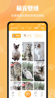 网喵APP