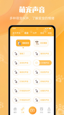 网喵APP