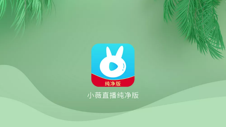 小薇电视直播TV版
