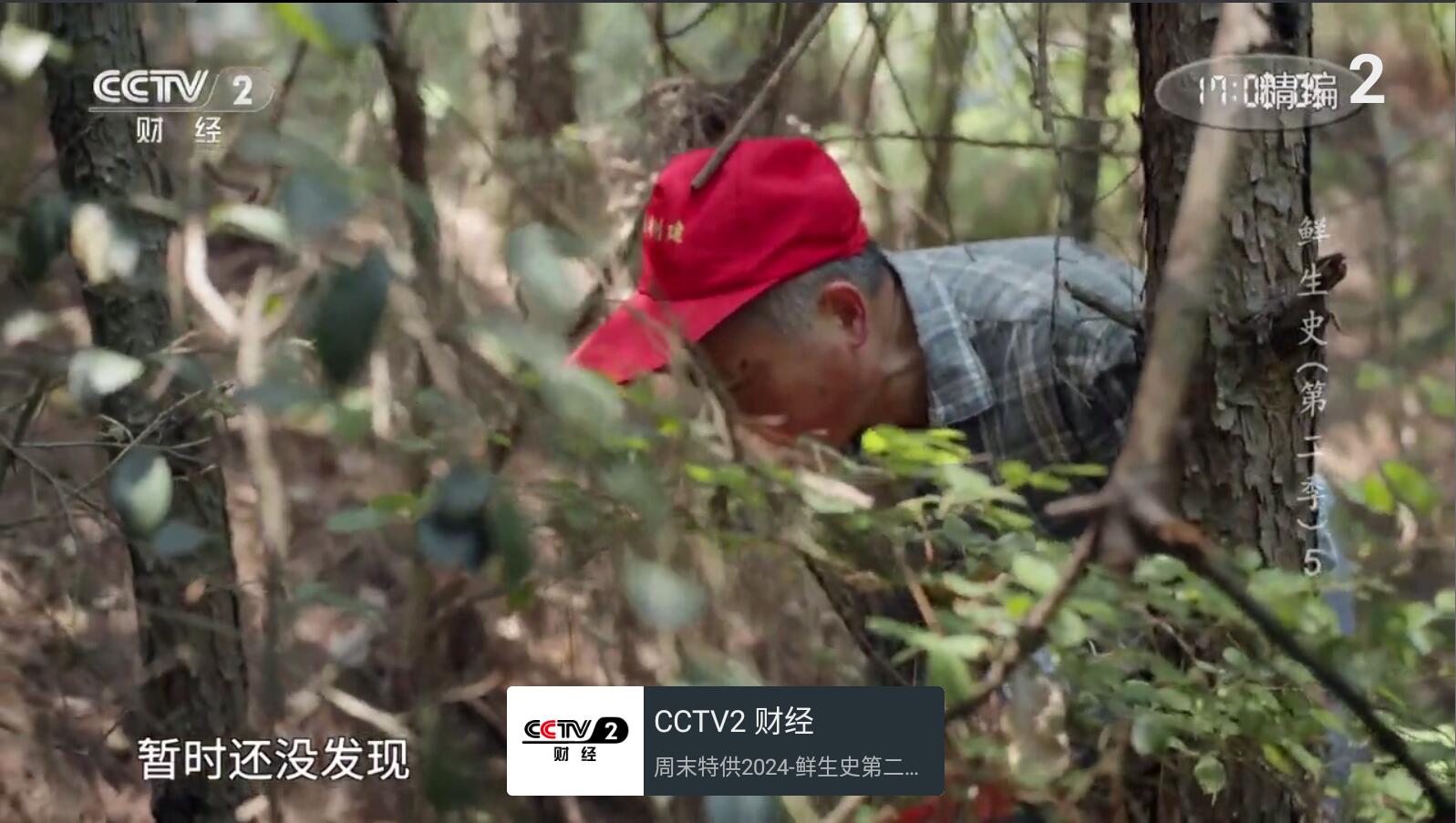 我的电视TV电视直播软件
