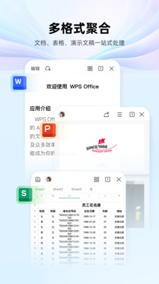 WPS手机版国际版破解版