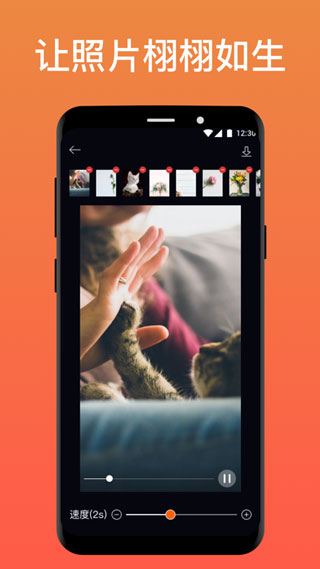 Pixaloop官方免费版
