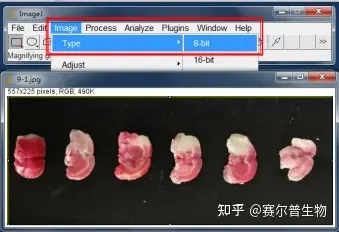 imagej软件破解版