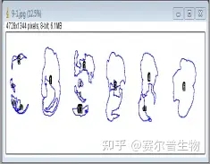 imagej软件破解版