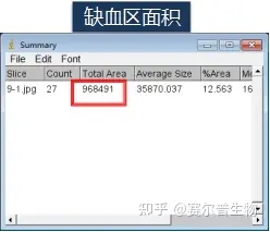 imagej软件破解版