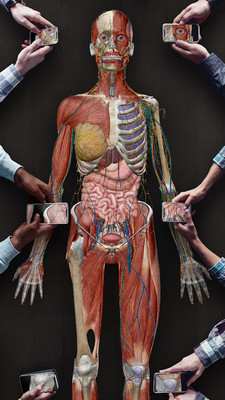 3D人体解剖学图谱APP