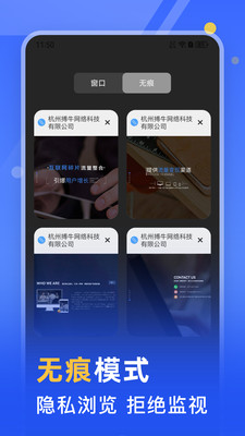 秘密浏览器手机版