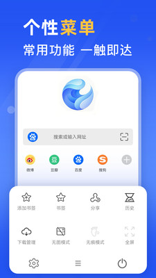 秘密浏览器手机版