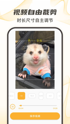 视频下载器APP