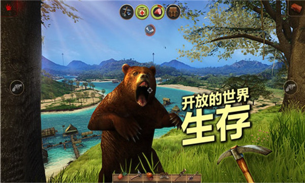 辐射岛完整版