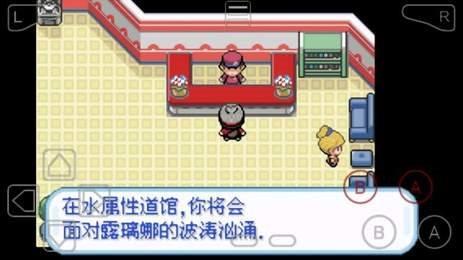口袋妖怪剑盾汉化破解版